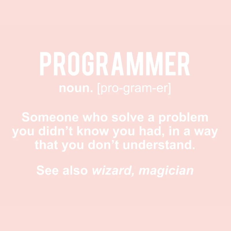 Programmer Definition Programer Shirt Gift