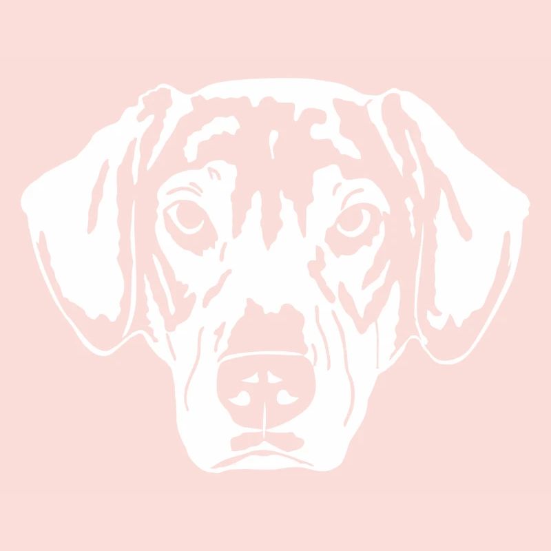 Schäferhund Mix