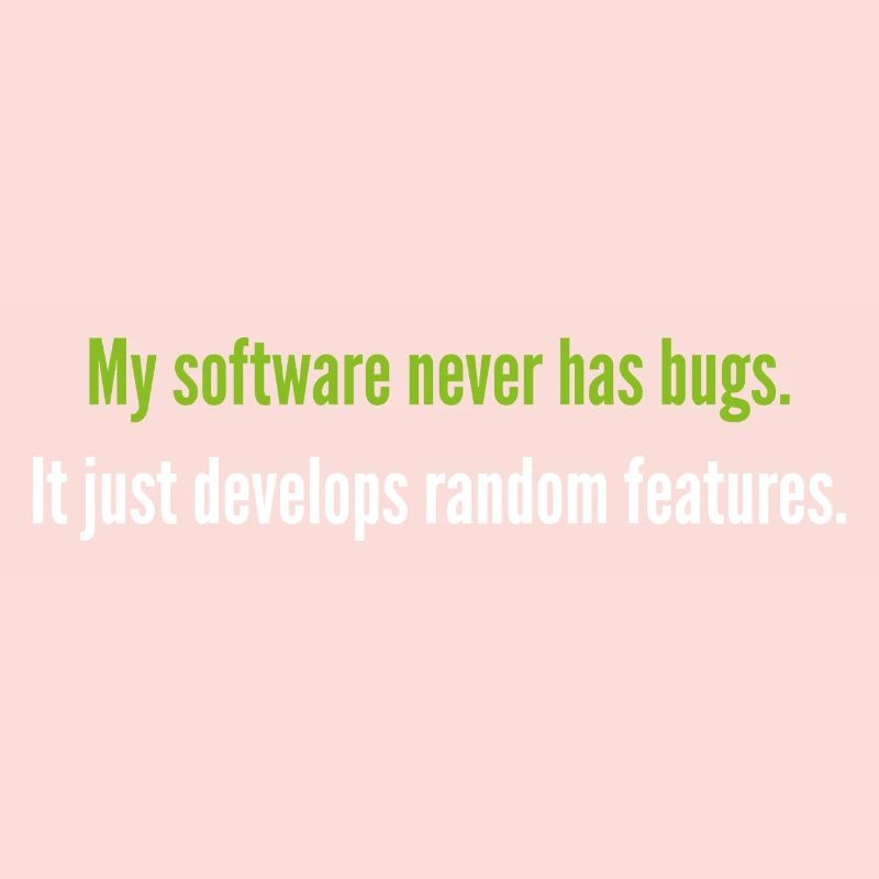 My Software Never Has Bugs