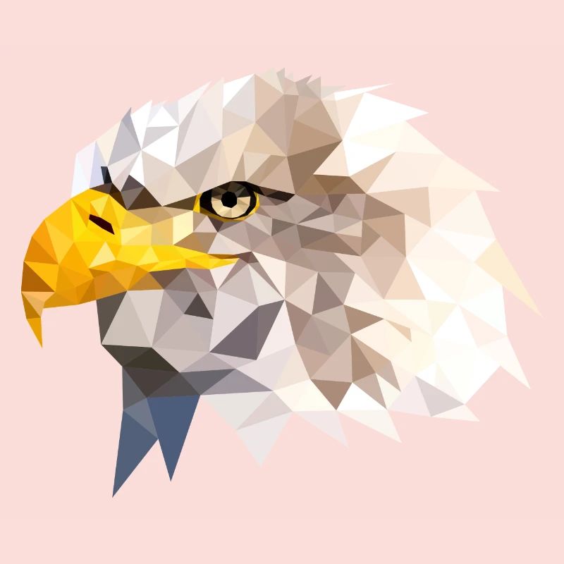 Aigle à tête blanche aigle de mer Aigle américain Eagle