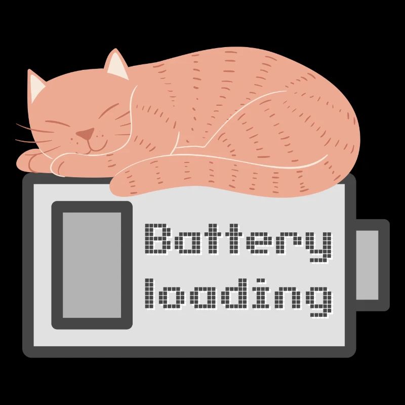 BATTERY LOADING CAT