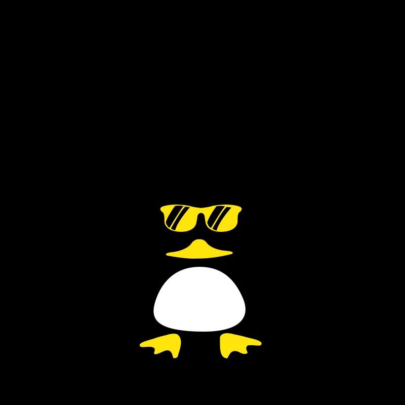 Canard de plage