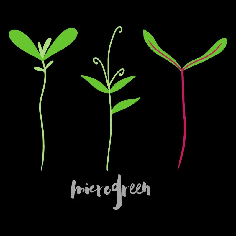 Mikrotriebe - Microgreen