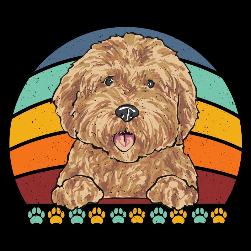 Goldendoodle Doodle Hund