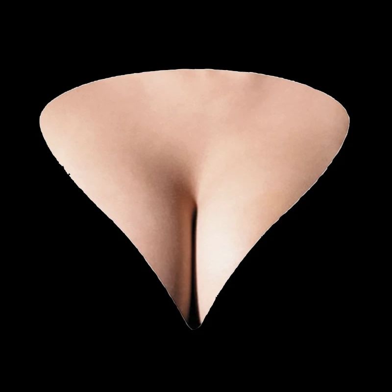 breasts