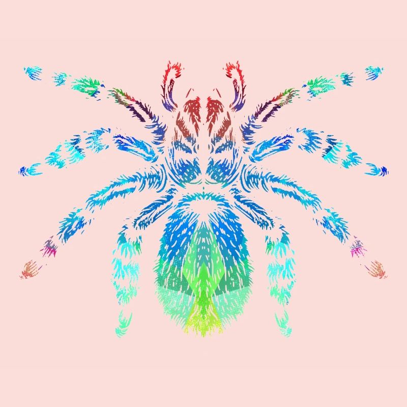 Araignées