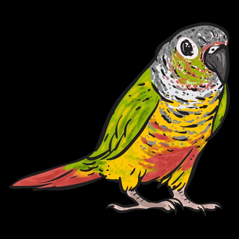 Molina Perruche Perroquet Oiseau Perruche Soleil