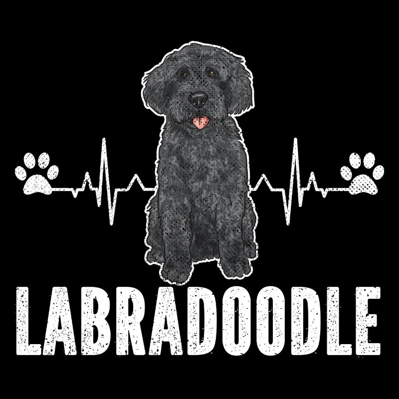 Labradoodle Dog