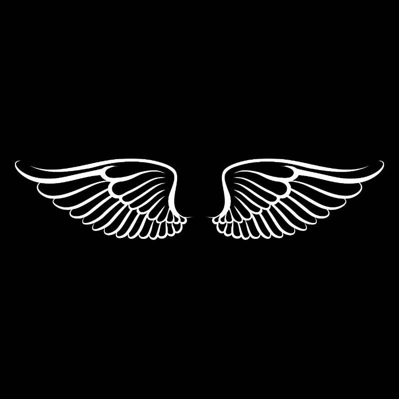 Les ailes