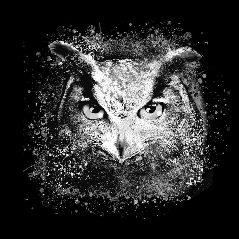 Owl,Graffiti,Painting,Black,Grey