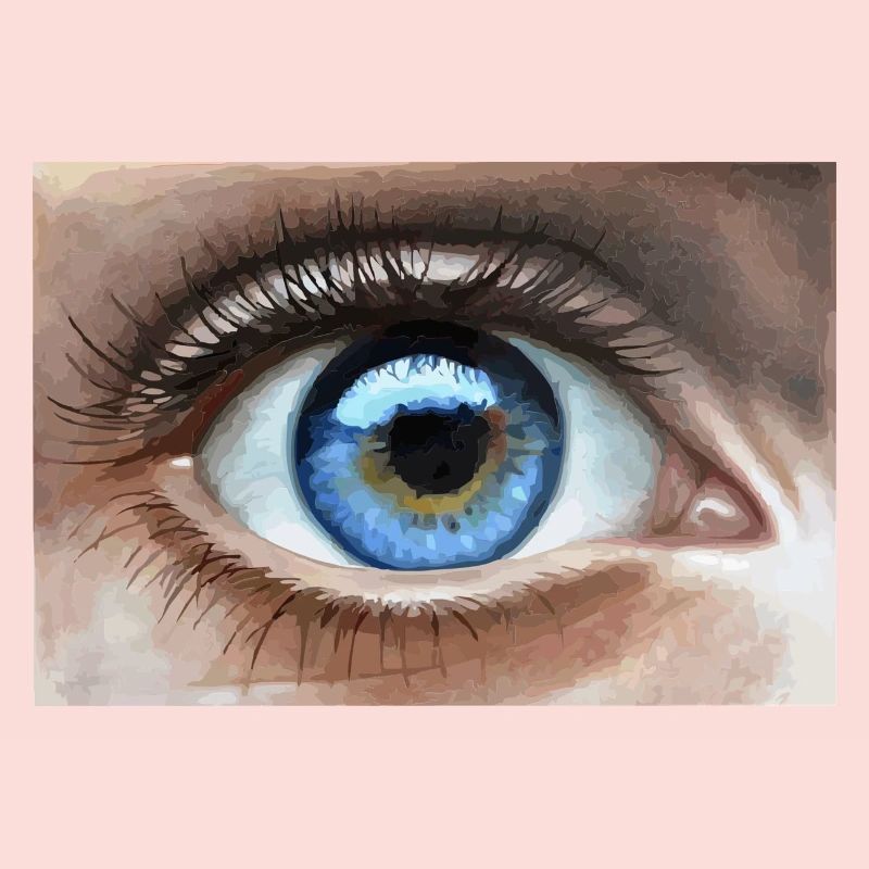 œil