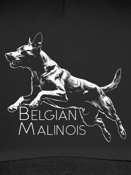 BELGIAN MALINOIS