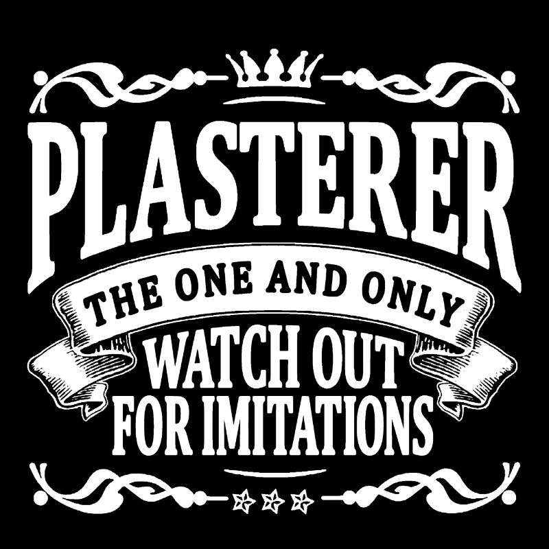 plasterer the one and only