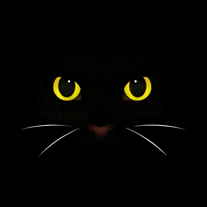 Schwarze Katze - Katzenrasse