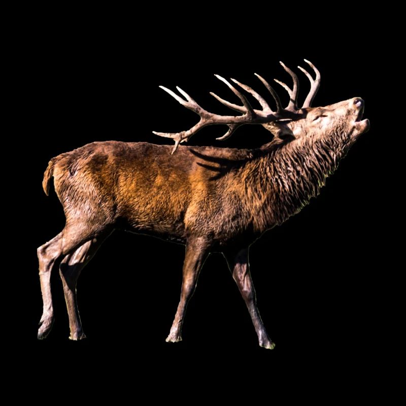 Geschenkidee röhrender Hirsch