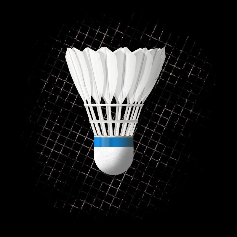 Badminton badminton