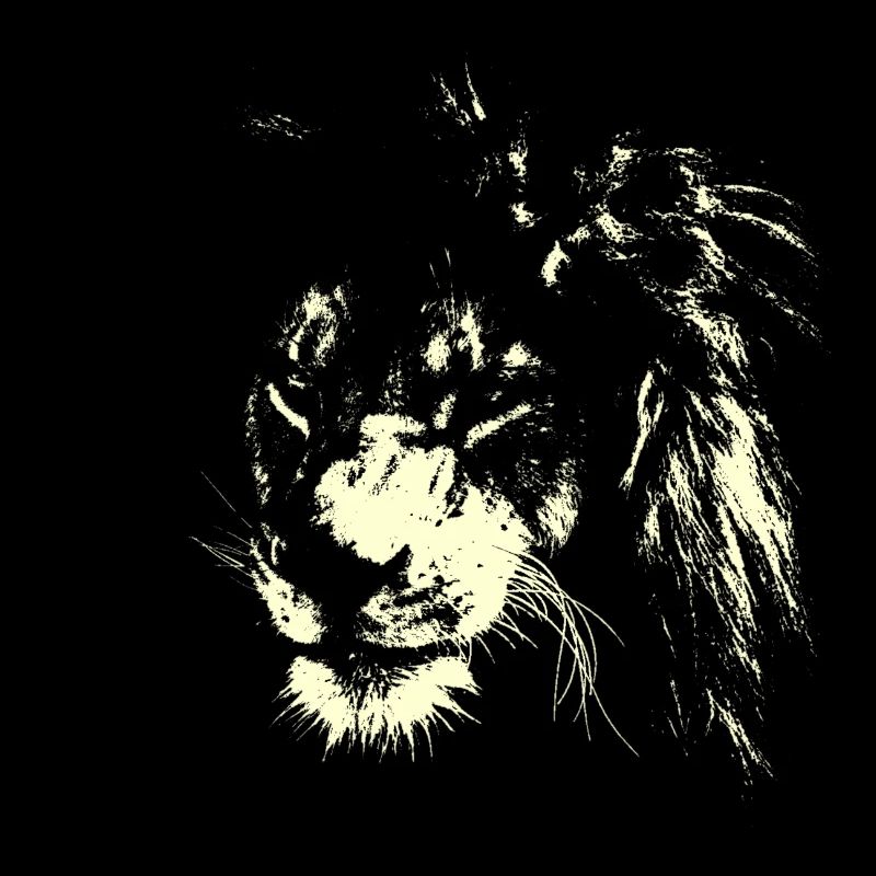 Léo AFRIQUE CAT SAVANNE