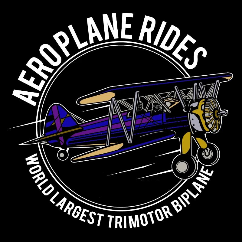 Avion, biplan, aviateur, mouche