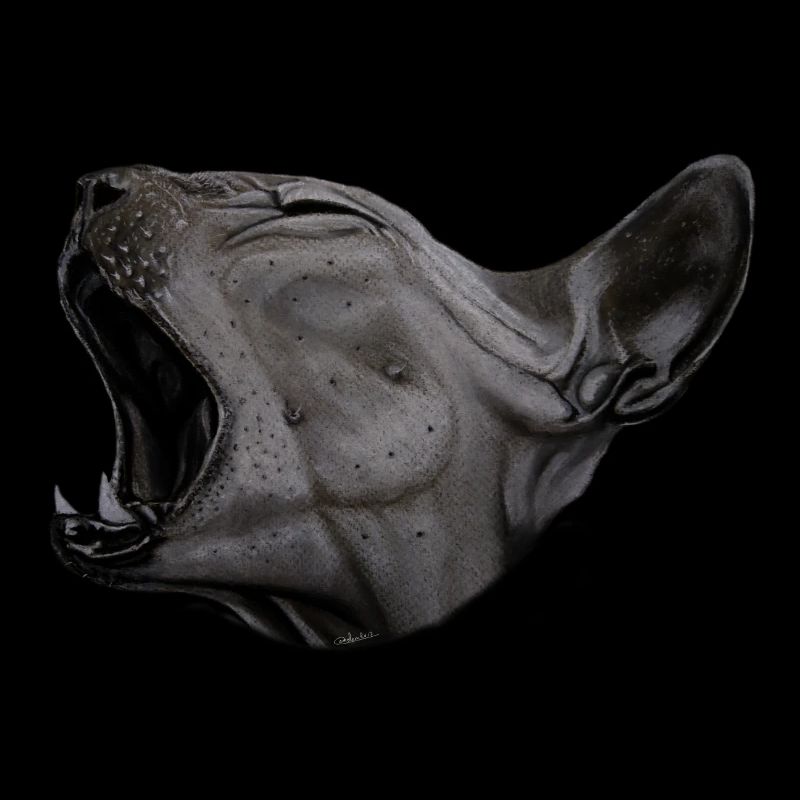 portrait sphynx