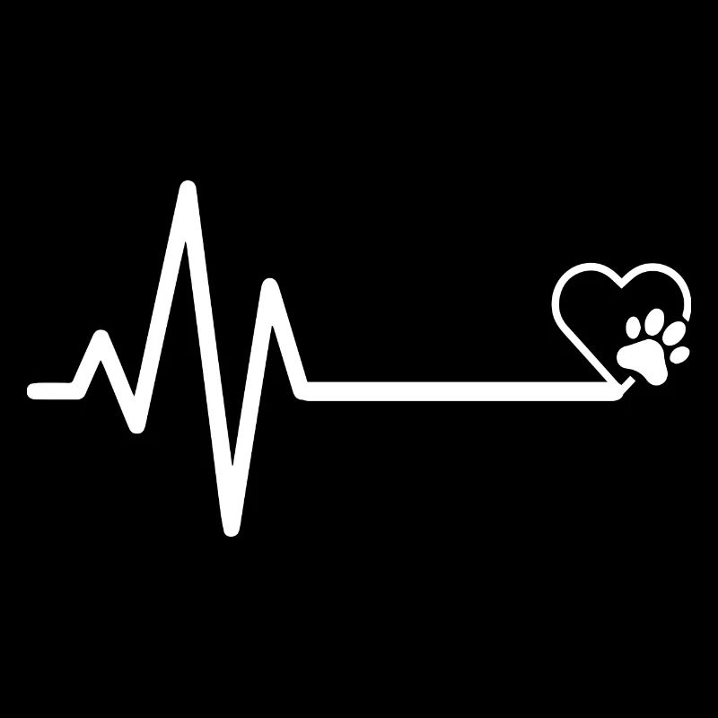 Hund Dog Agility