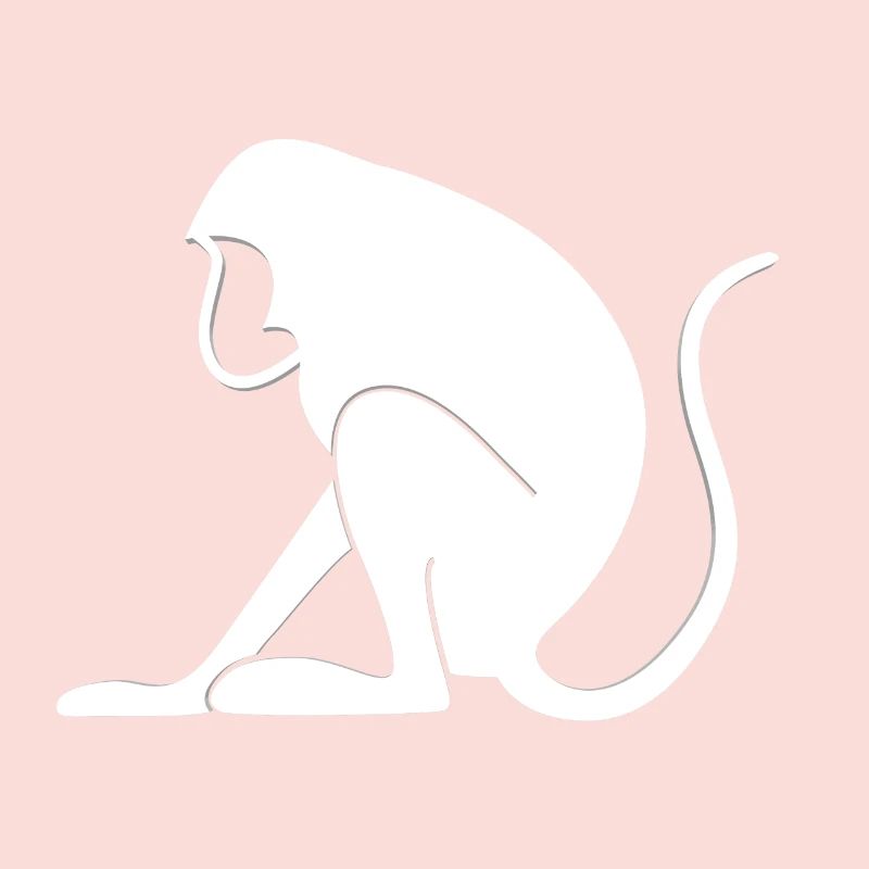 Monkey Monkey Monkey-like Monkey Monkey