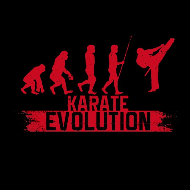 Évolution du karaté