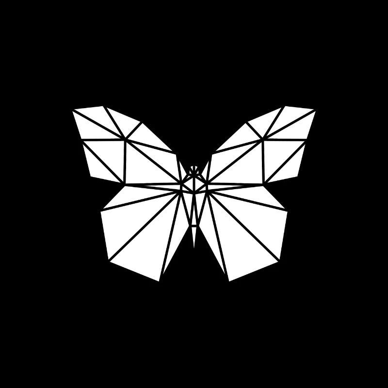 Polygone papillon