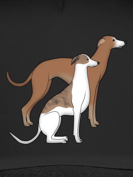 Zwei Whippets