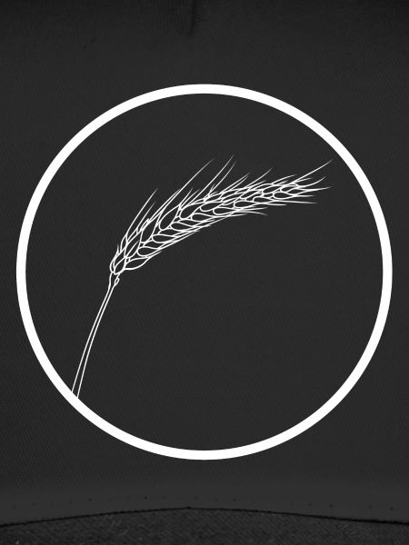wheat