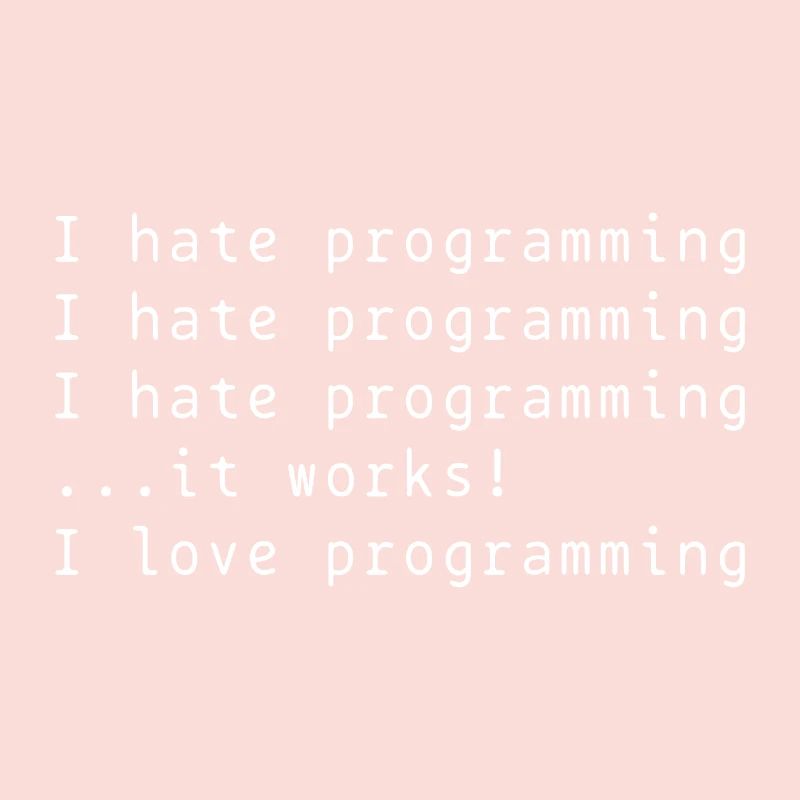 I hate programming gift idea
