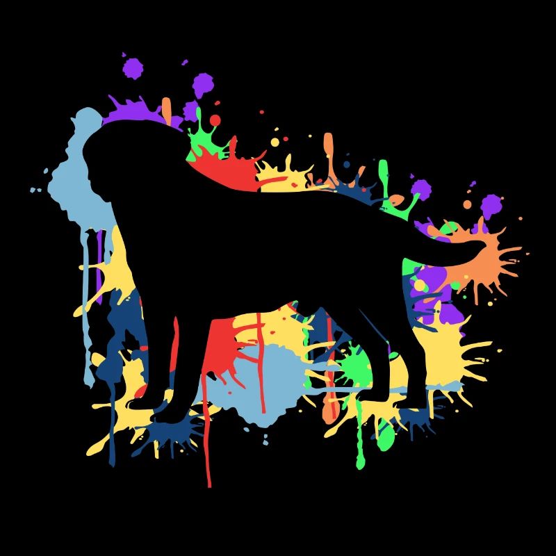Der schöne & frohe farbige Regenbogen Labrador