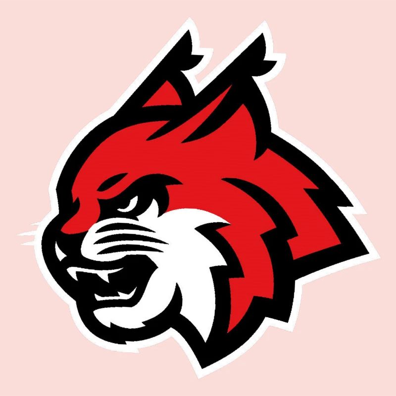 Luchs