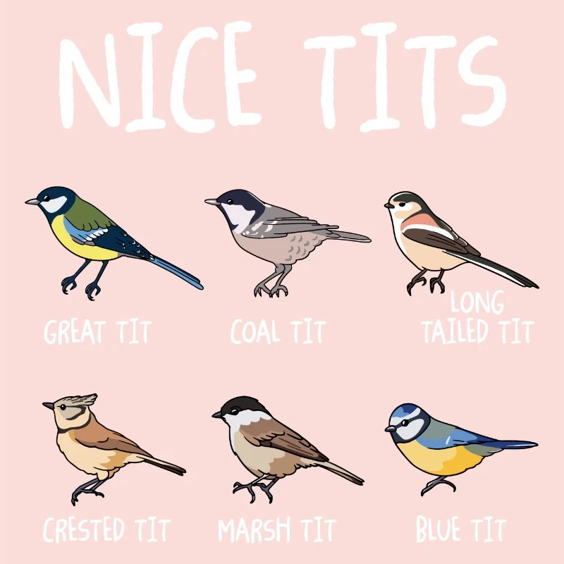 Nice Tits Funny Bird Watching Tit Birdwatcher