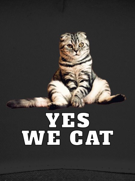 Katze – Yes We Cat