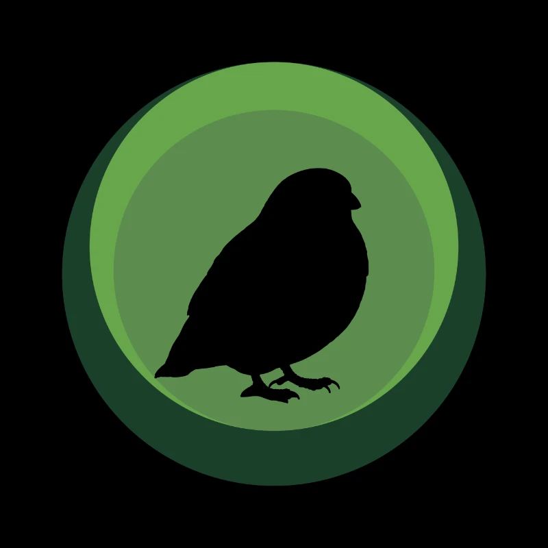 Oiseau Oiseau Perruche