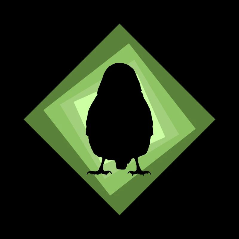 Perruche Oiseaux Observation Oiseau Illustration