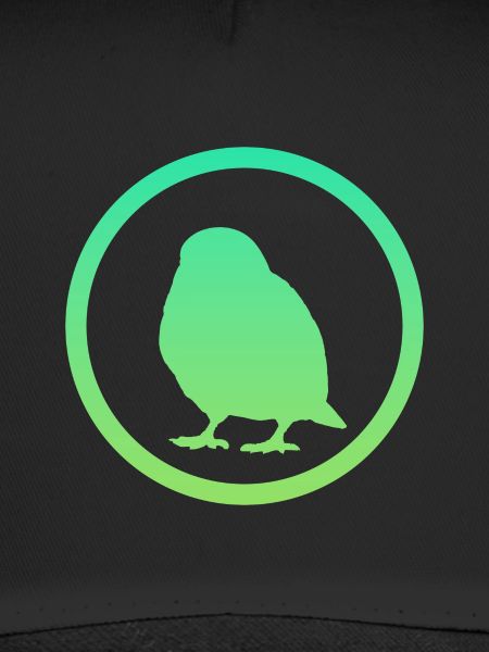 Bird Birds Bird