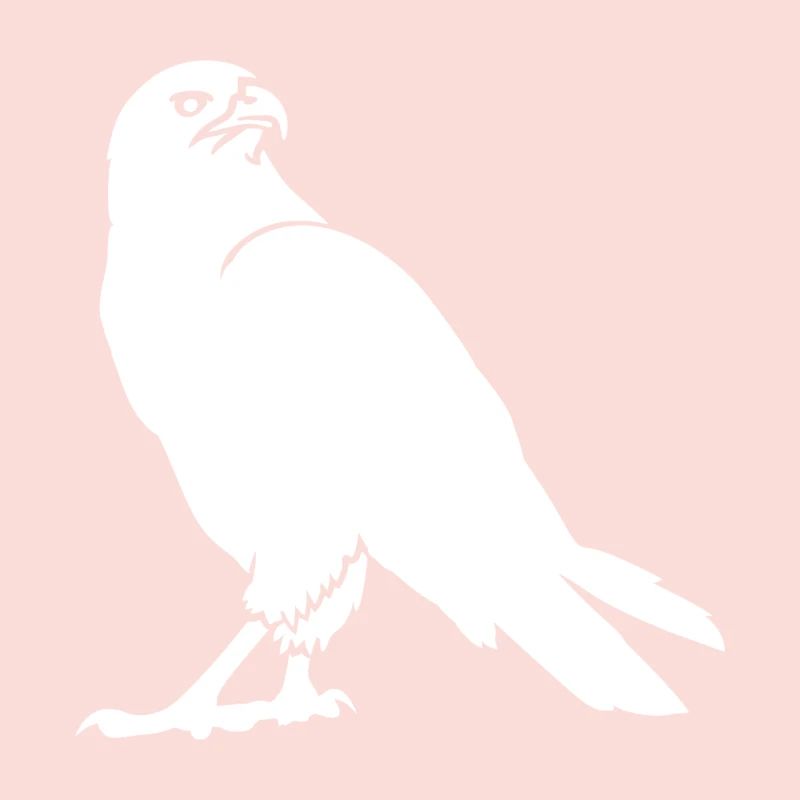 faune, aigle, buse, faune, oiseaux, oiseau, zoo