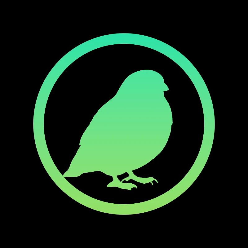 Bird Birds Flying