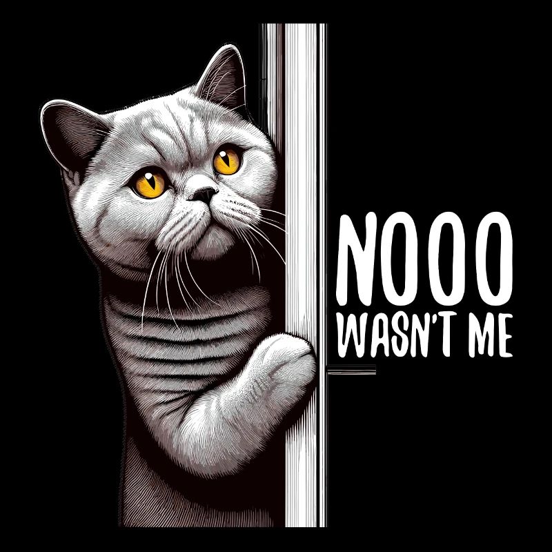Non, je n’étais pas BKH Blue Cat cadeau