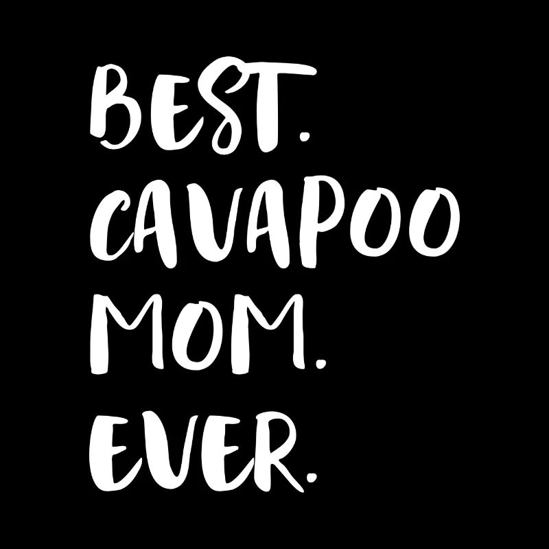 Cavapoo Cavoodle