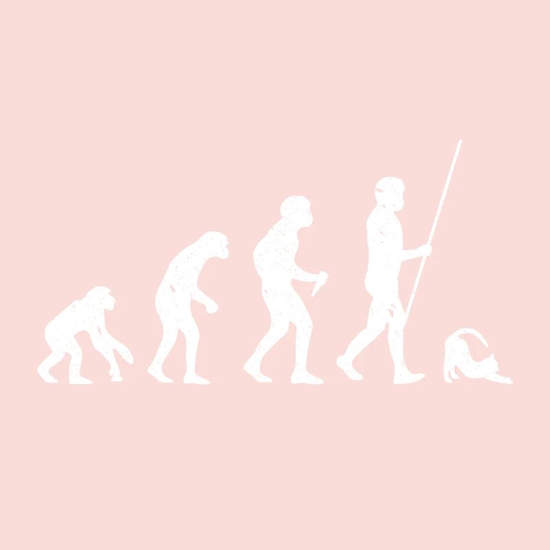 Katze Evolution