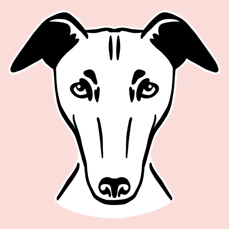 Windhund
