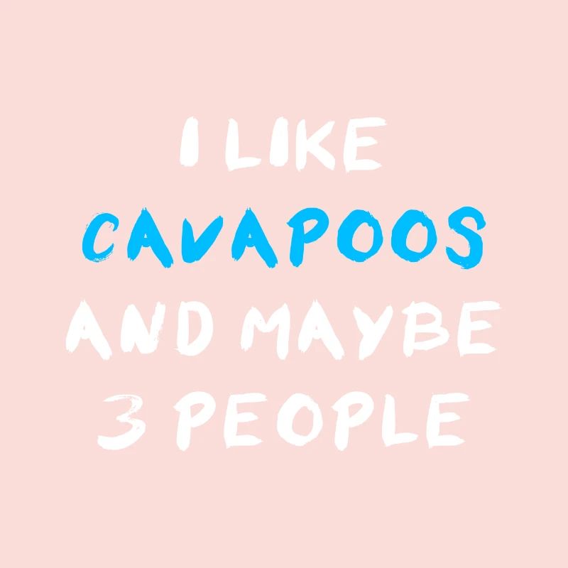 Cavapoo Cavoodle