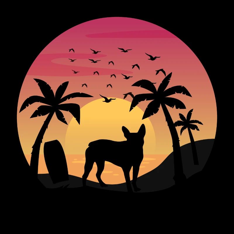 Boston terrier Propriétaire Beach Sunset Palm Trees