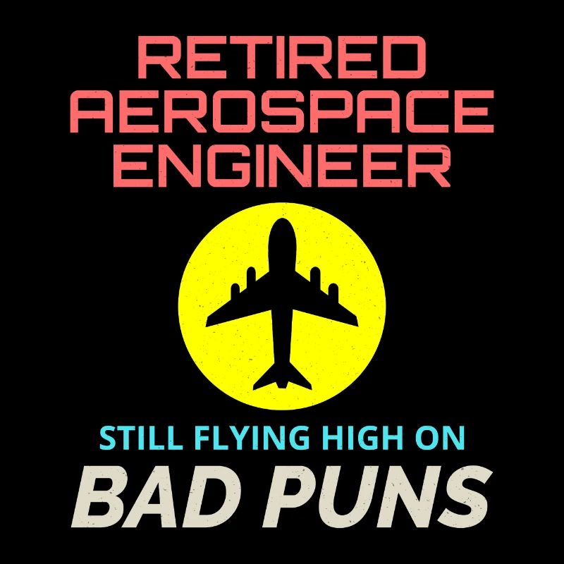 Retired Aerospace Engineer Flight Mechanics Plane