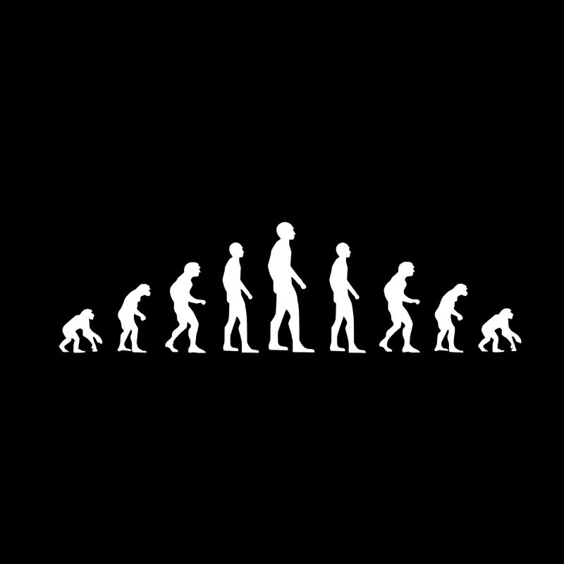 Évolution de l'humain