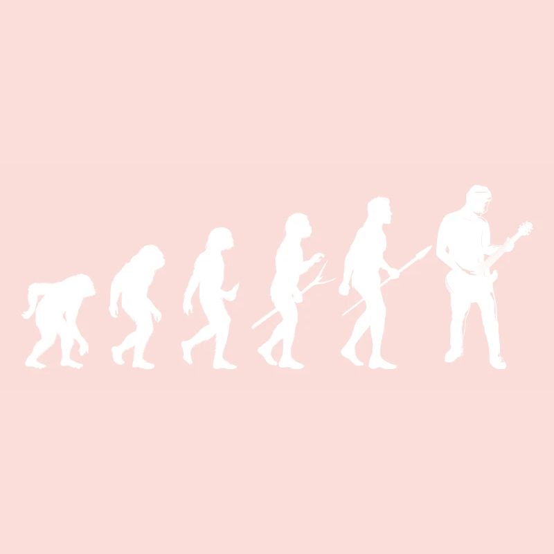 guitar guitare evolution