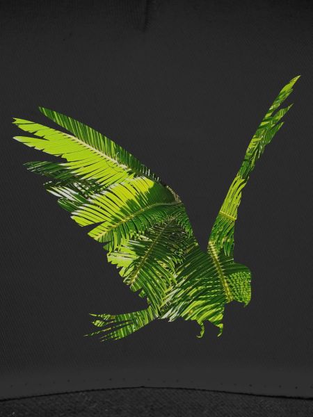 Parrot rainforest