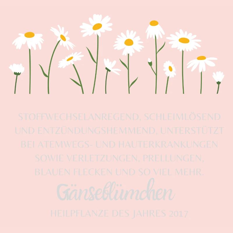 Gänseblümchen